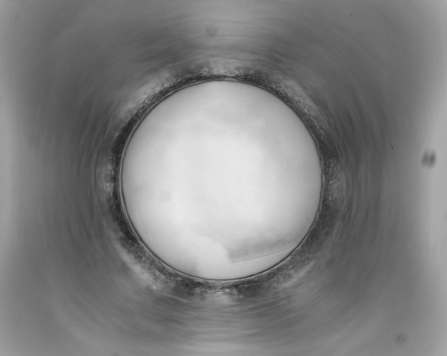 X0000091570683200709100957