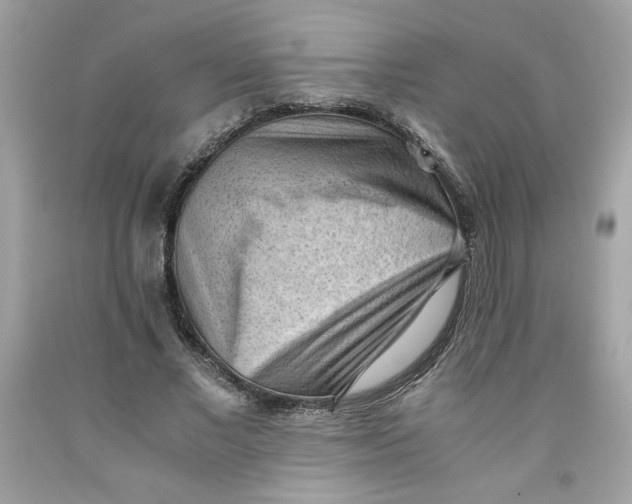 X0000091570685200709100957