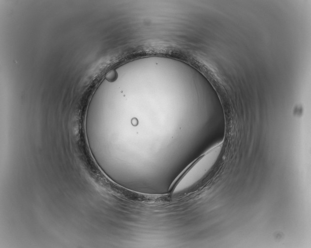 X0000091570687200709100957