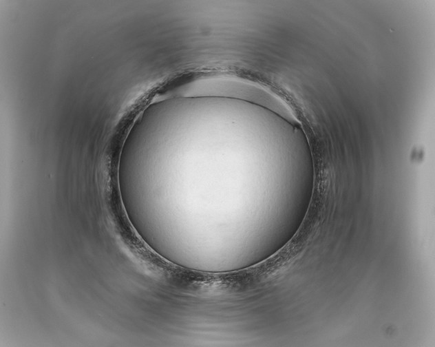 X0000091570688200709100957