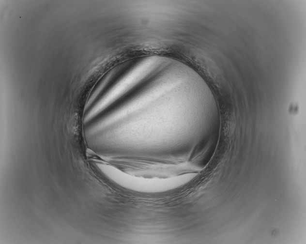 X0000091570689200709100957