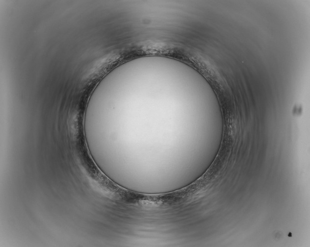 X0000091570690200709100957