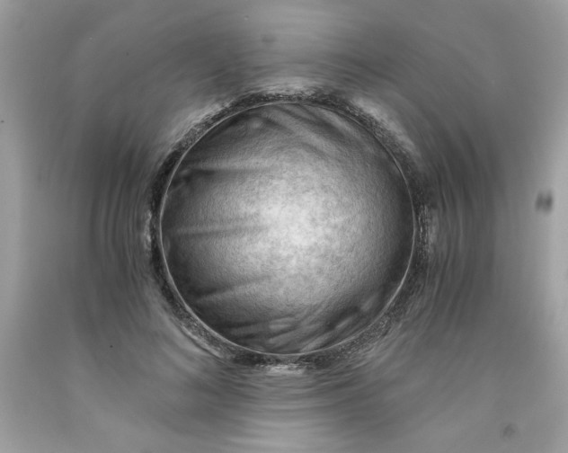 X0000091570692200709100957