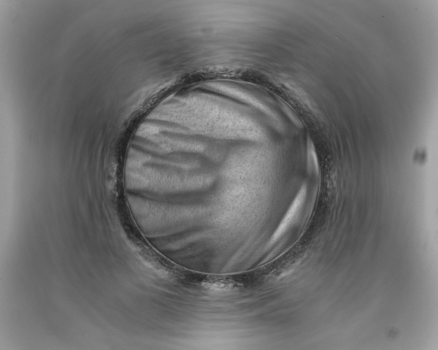 X0000091570693200709100957