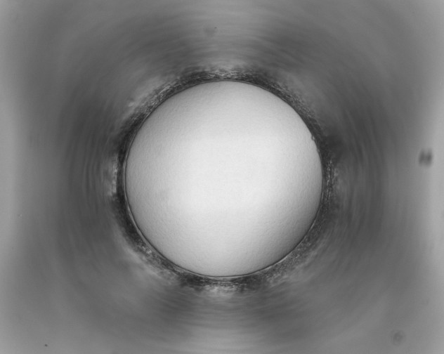 X0000091570694200709100957