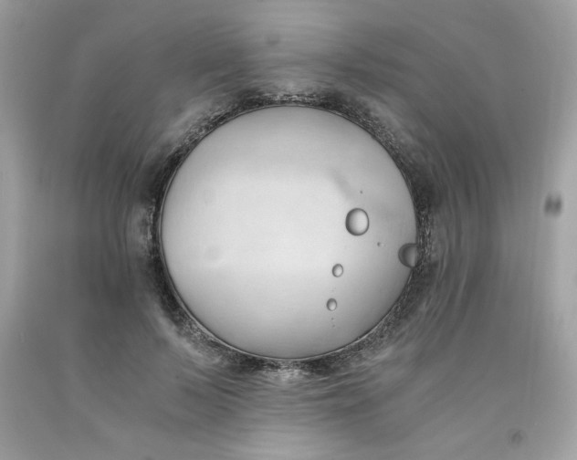 X0000091570695200709100957