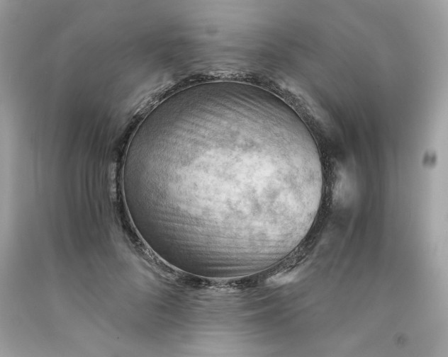 X0000091570696200709100956