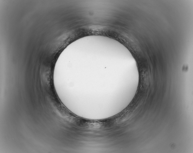 X0000091570698200709100956