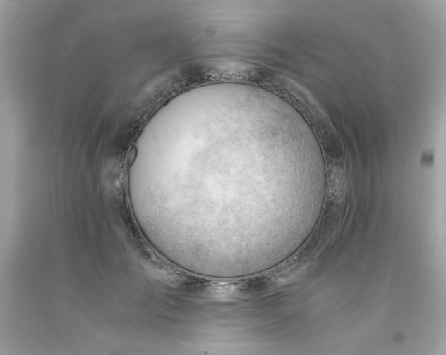 X0000091570701200709100956