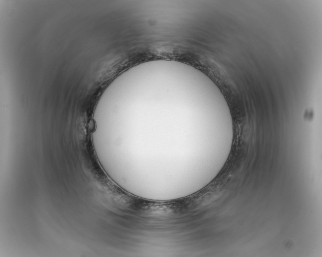 X0000091570702200709100956