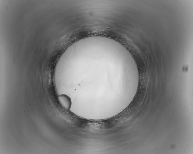 X0000091570703200709100956