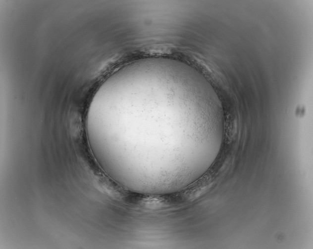 X0000091570704200709100956