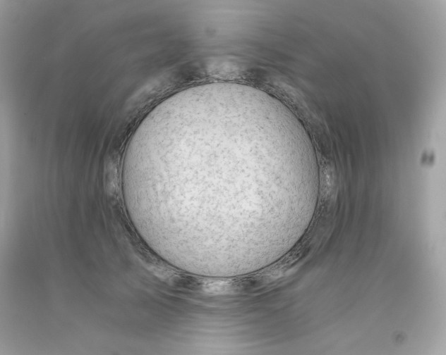 X0000091570705200709100956