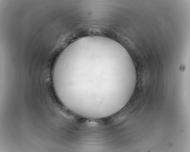 X0000091570706200709100956