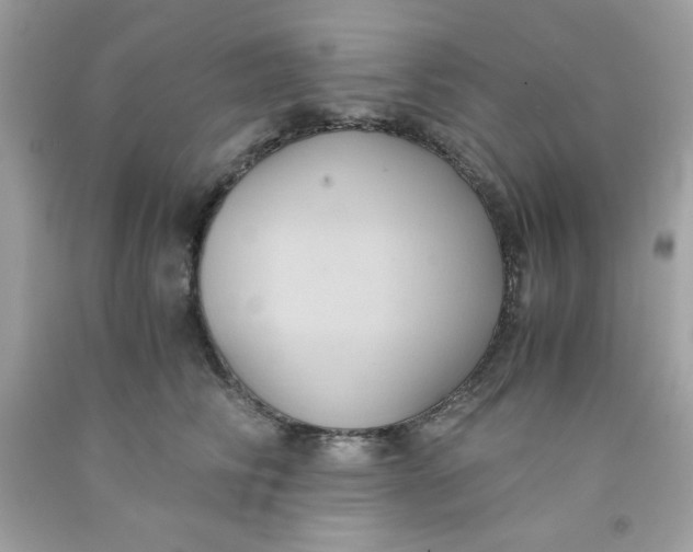 X0000091570710200709100956