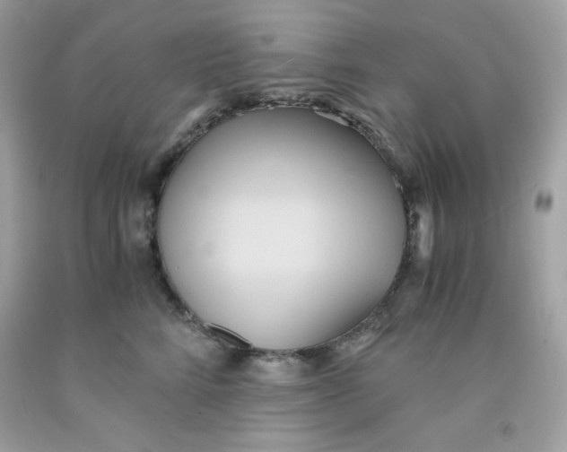 X0000091570712200709100956