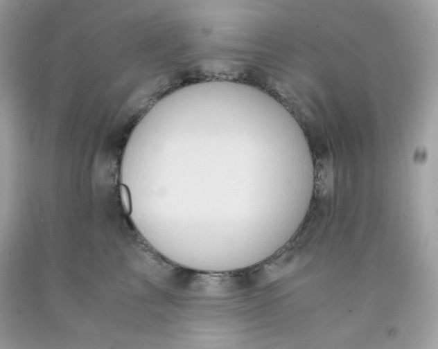 X0000091570713200709100956