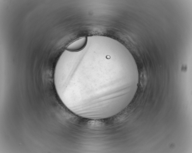 X0000091570714200709100956