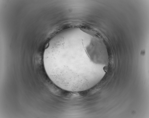 X0000091570715200709100956