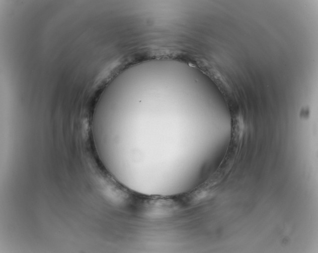 X0000091570716200709100956