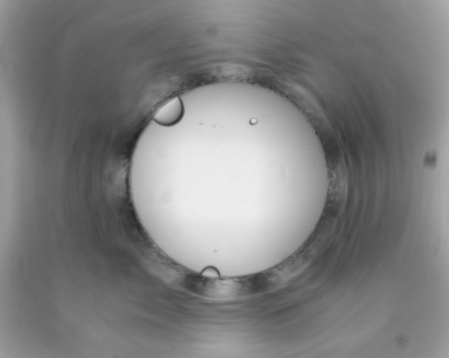 X0000091570717200709100956