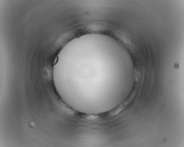 X0000091570718200709100956