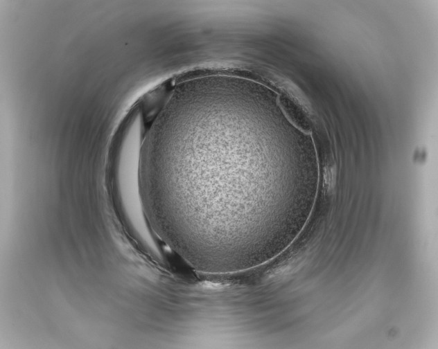 X0000091570724200709100956