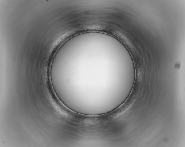 X0000091570725200709100956