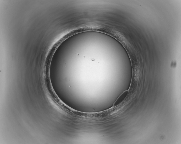 X0000091570726200709100956