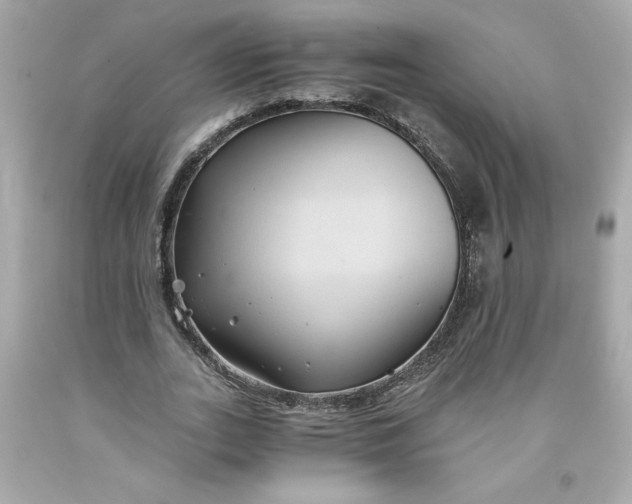 X0000091570727200709100956