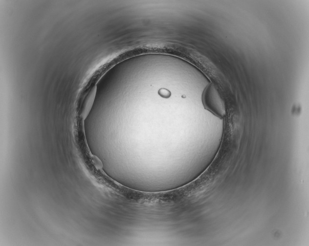 X0000091570728200709100956