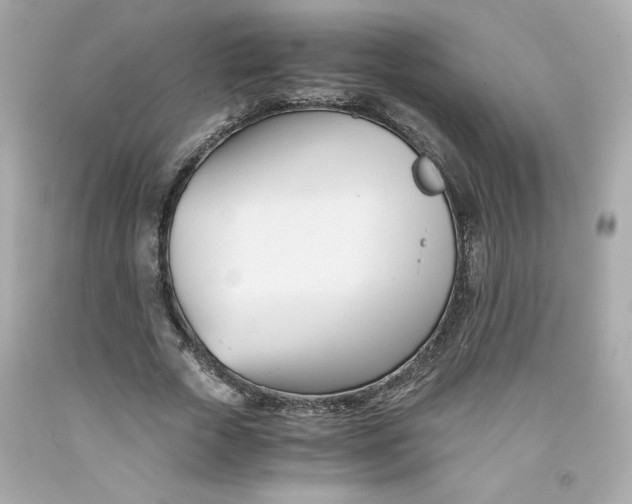 X0000091570729200709100956