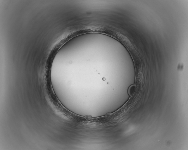 X0000091570730200709100956