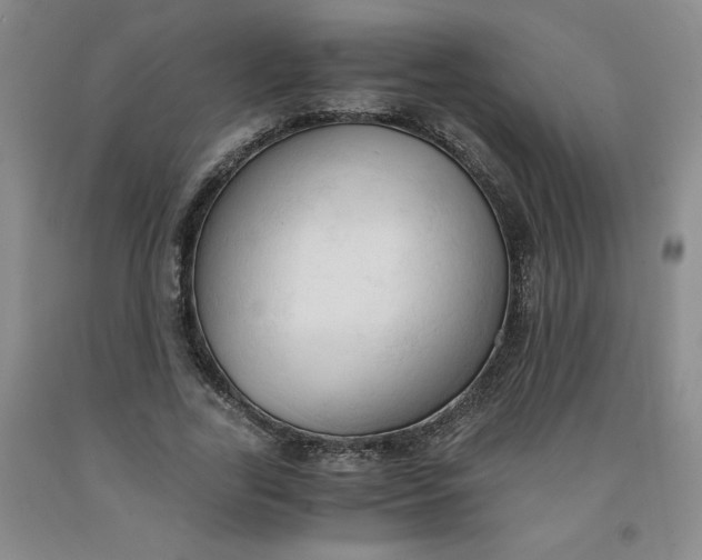 X0000091570731200709100956