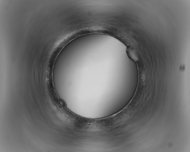 X0000091570732200709100956