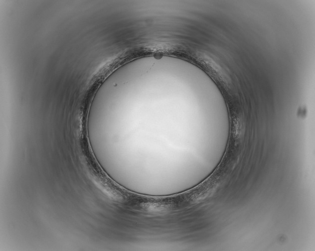 X0000091570733200709100956