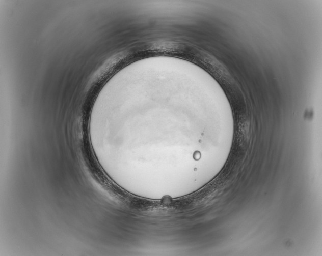 X0000091570734200709100956