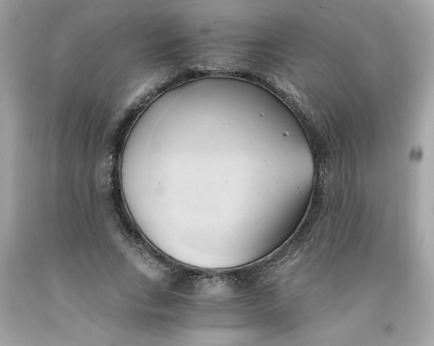 X0000091570735200709100956