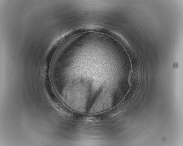 X0000091570736200709100956