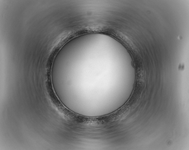 X0000091570738200709100956