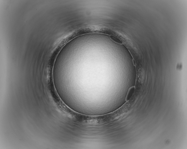 X0000091570740200709100956