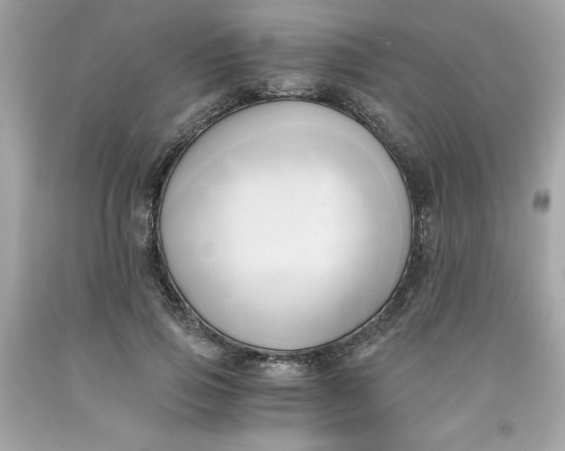 X0000091570741200709100956