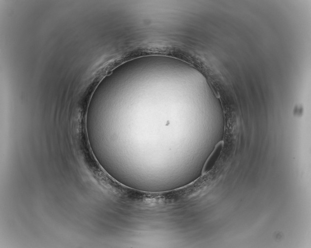 X0000091570744200709100956