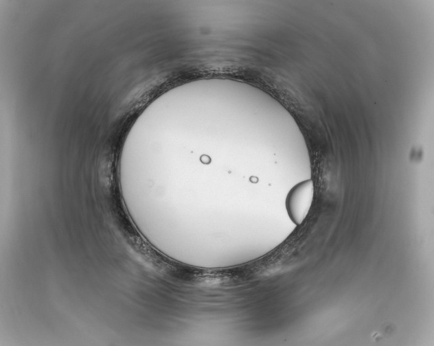 X0000091570746200709100956