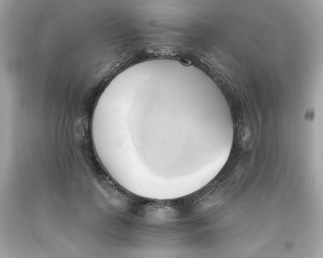 X0000091570747200709100956