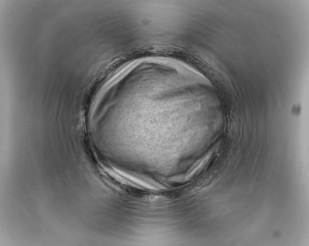 X0000091570748200709100956