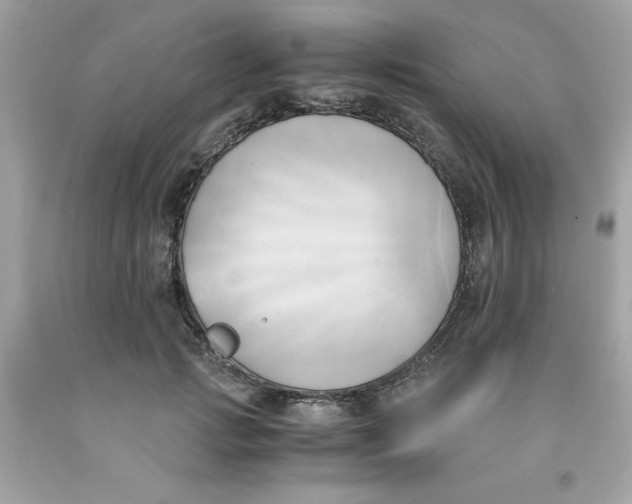 X0000091570749200709100956