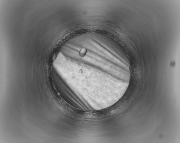 X0000091570750200709100956