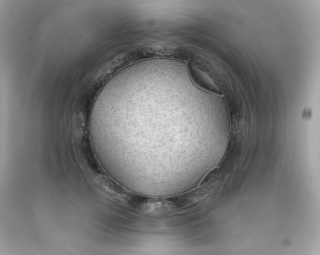 X0000091570752200709100956