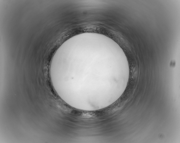 X0000091570753200709100956